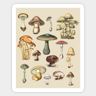 Vintage Mushrooms Dark Academia Illustrations Sticker